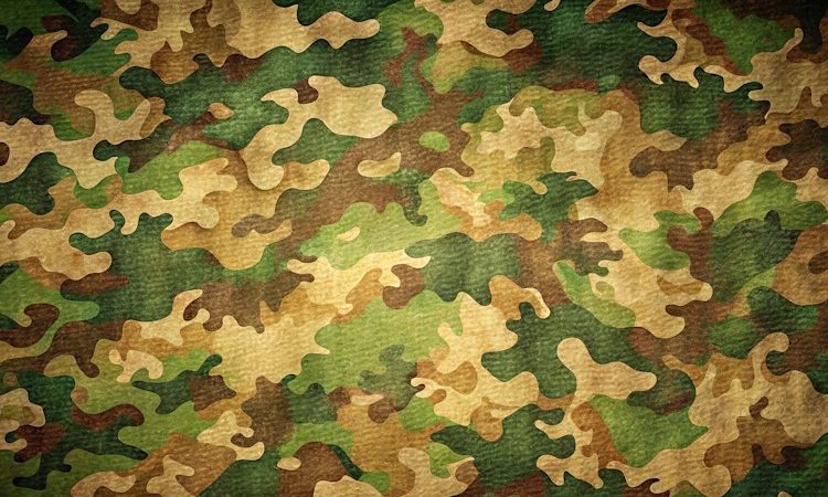  Οι Στρατιωτικές Σχολές σύμφωνα με τον νέο νόμο